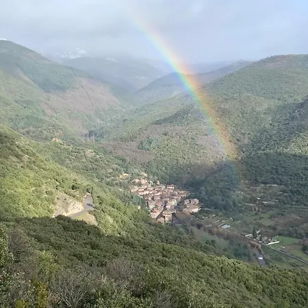 La Cour Carree - D'hotes 3* Carcassonne
